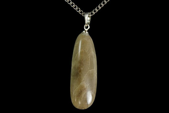 Polished Petoskey Stone (Fossil Coral) Necklace - Michigan #156177